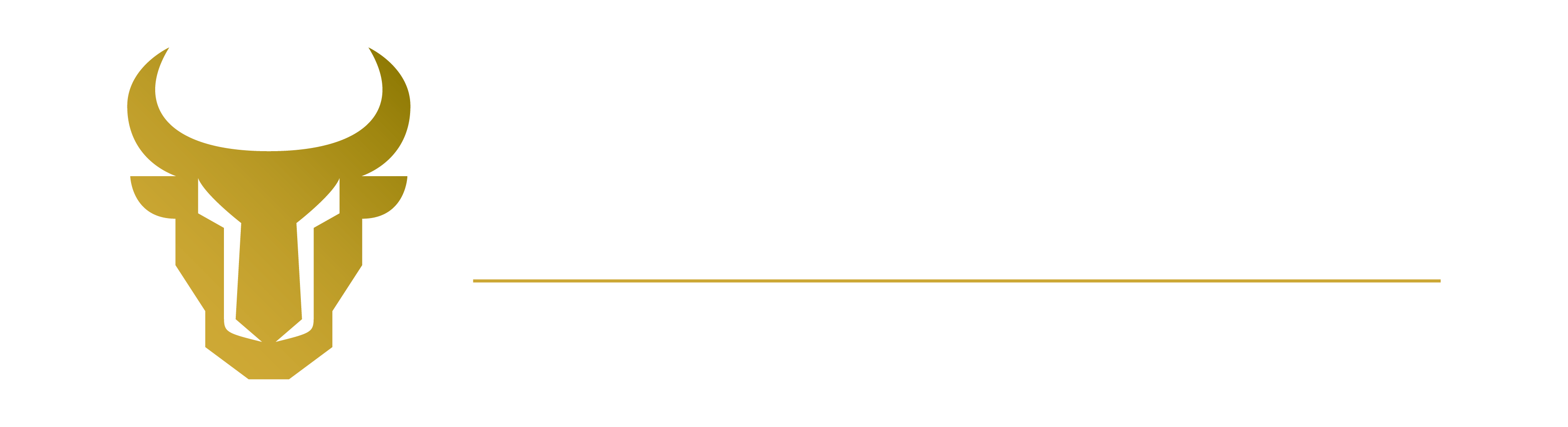logo-img